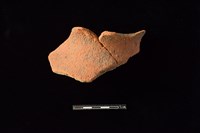 藏品(陶罐)的圖片